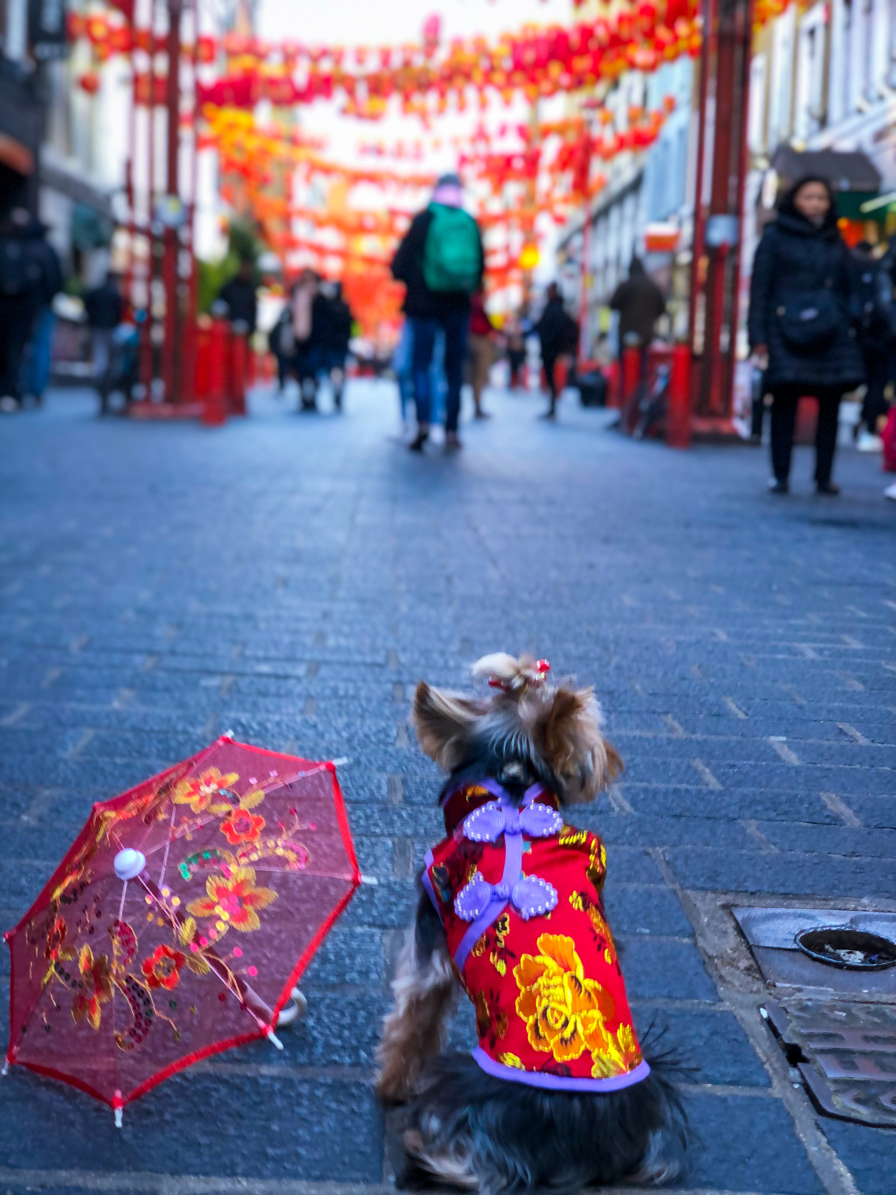 Esme in a red cheongsam with a parasol in Chinatown