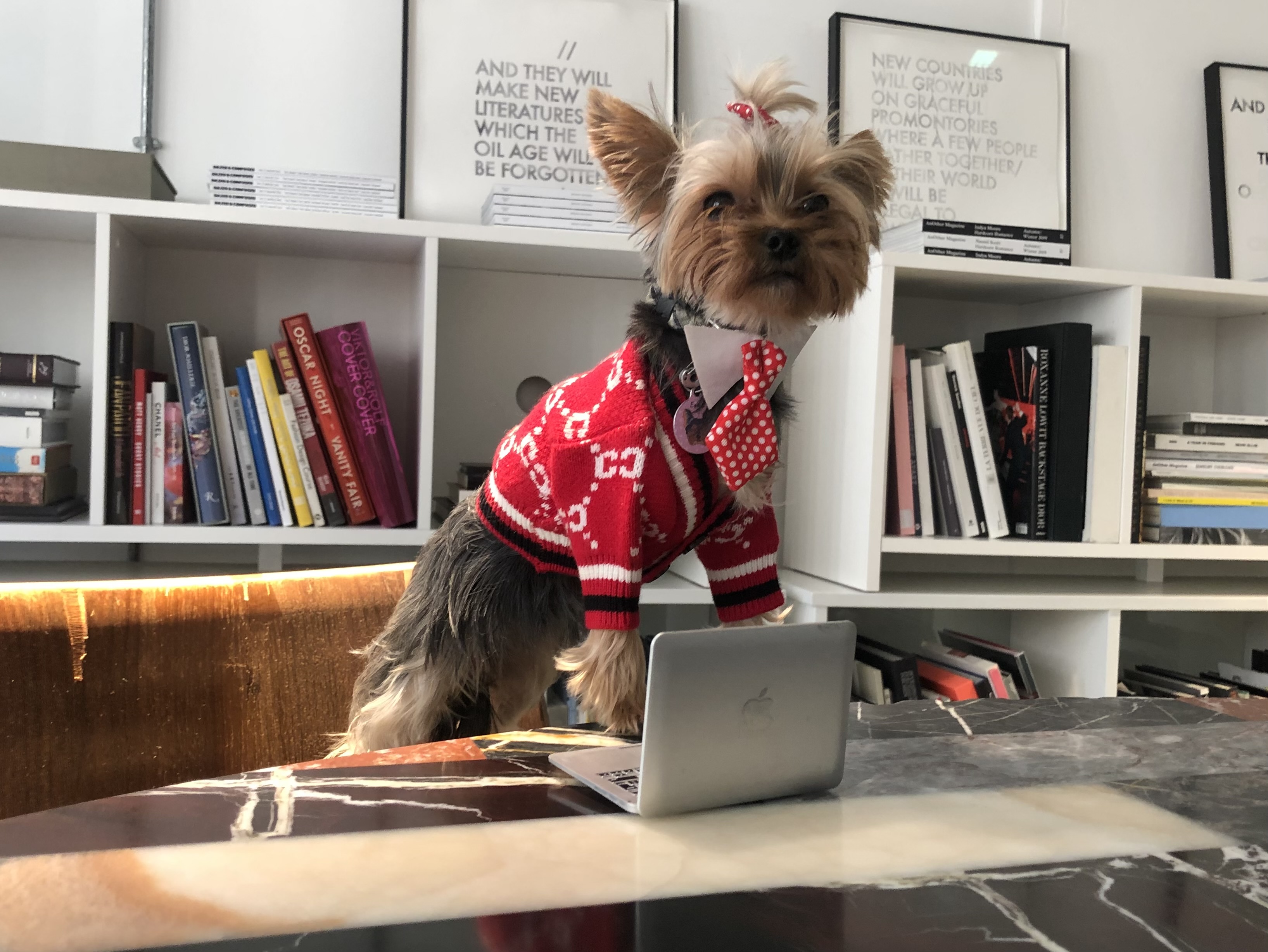 Esme in a designer sweater posing at a laptop in a design studio