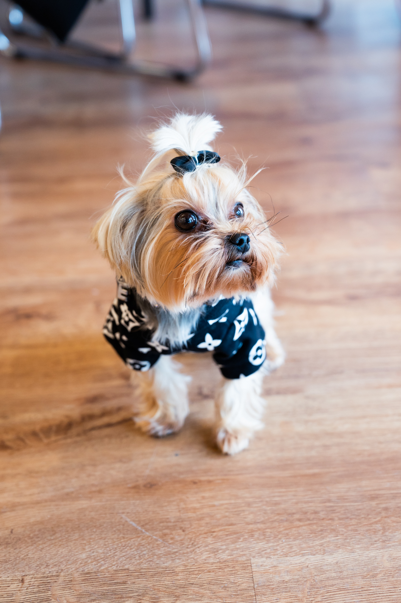 Esme in a monogram outfit on a fashion shoot