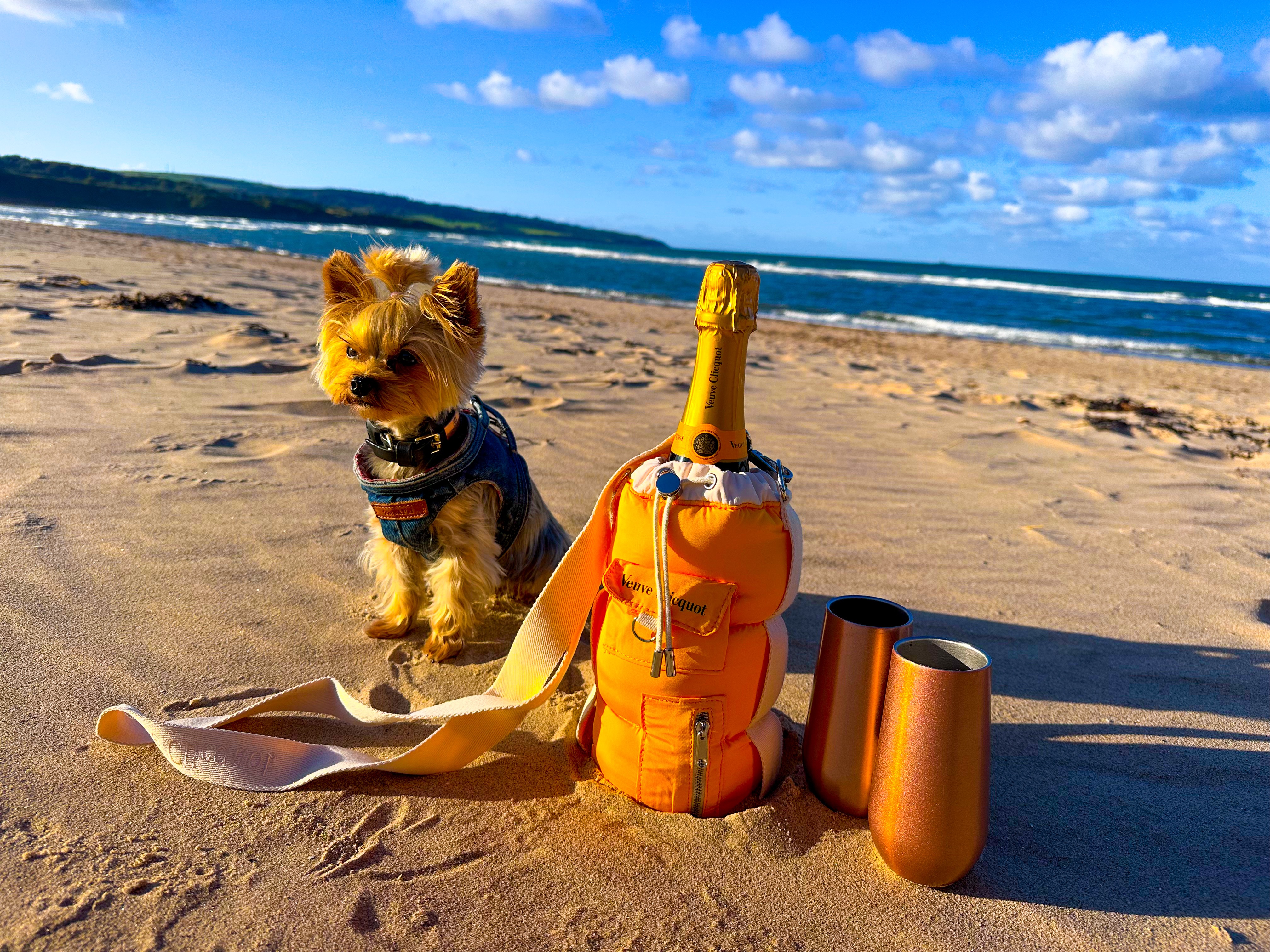 Esme on a beach beside a champagne cooler